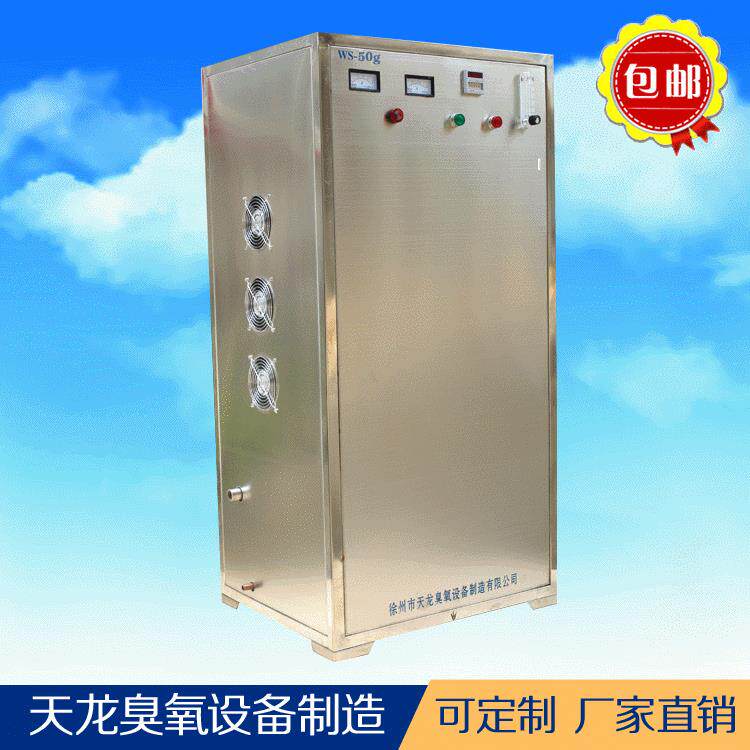 大型臭氧设备强效杀菌水处理臭氧机WS-50g厂家直销徐州臭氧发生器