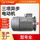 交流电机 三相异步电动机Y315L1 90Y315L2 110机械设备用立式