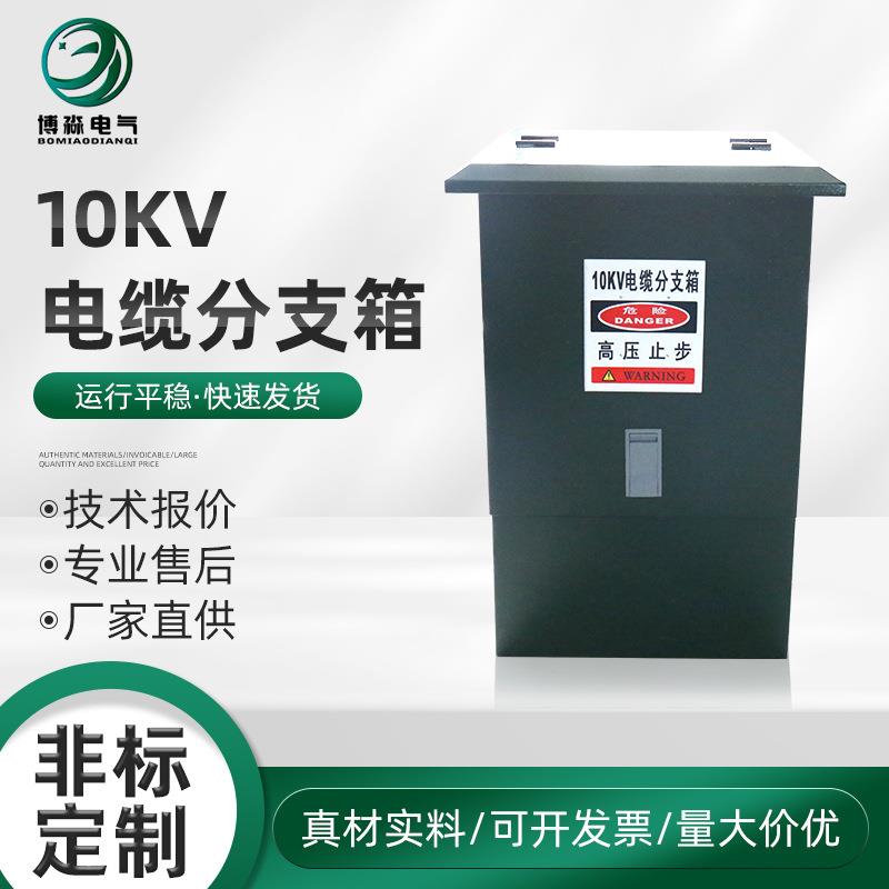 10KV电缆分支箱电缆分接箱环网柜分接箱户外高压分支箱防水