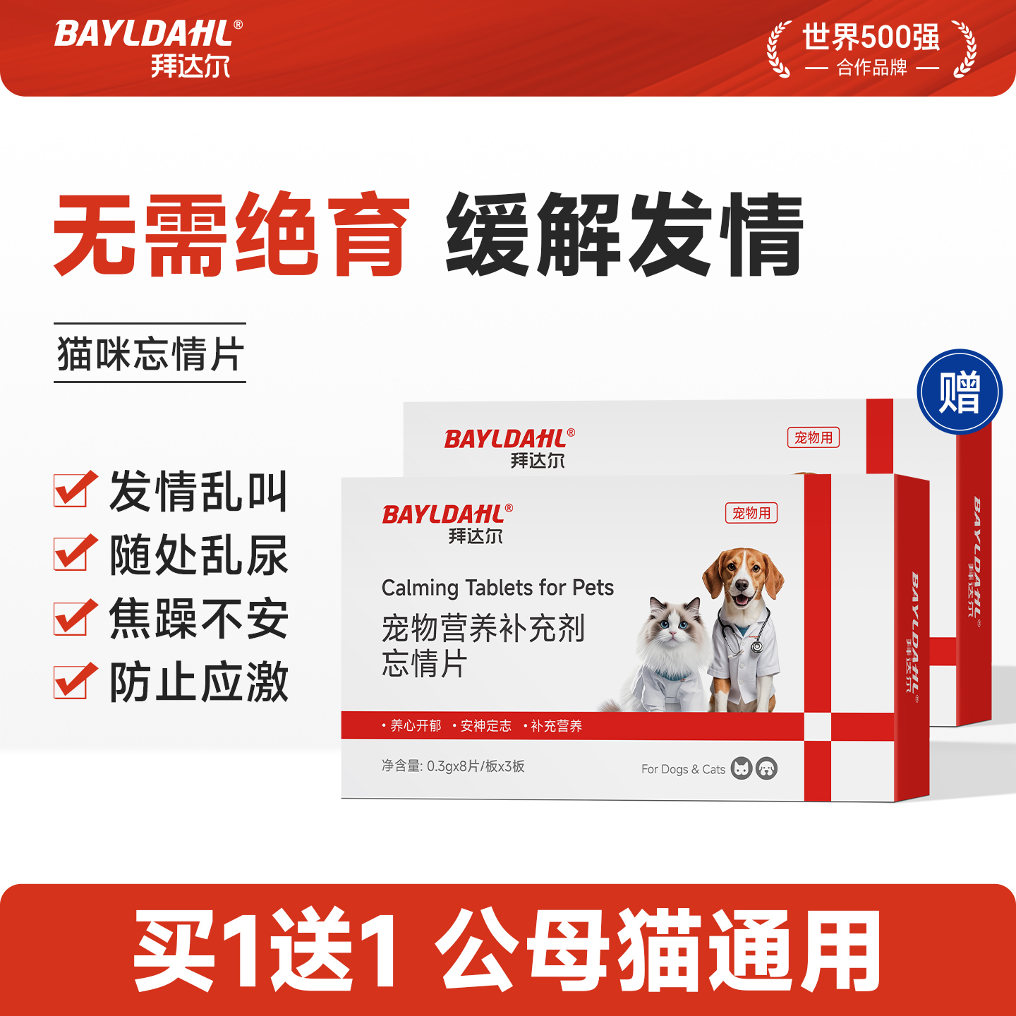 【猫咪情绪舒缓抑情片】