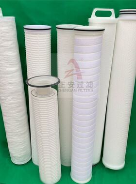 大流量水滤芯4001001 正安过滤