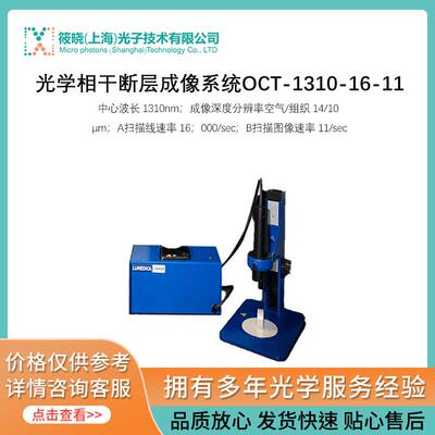 光学相干断层成像系统OCT-1310-16-11