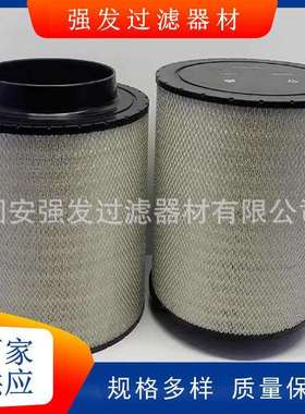 B120376螺杆机空气滤芯ECB120376 0180941002 PA5505 C311195