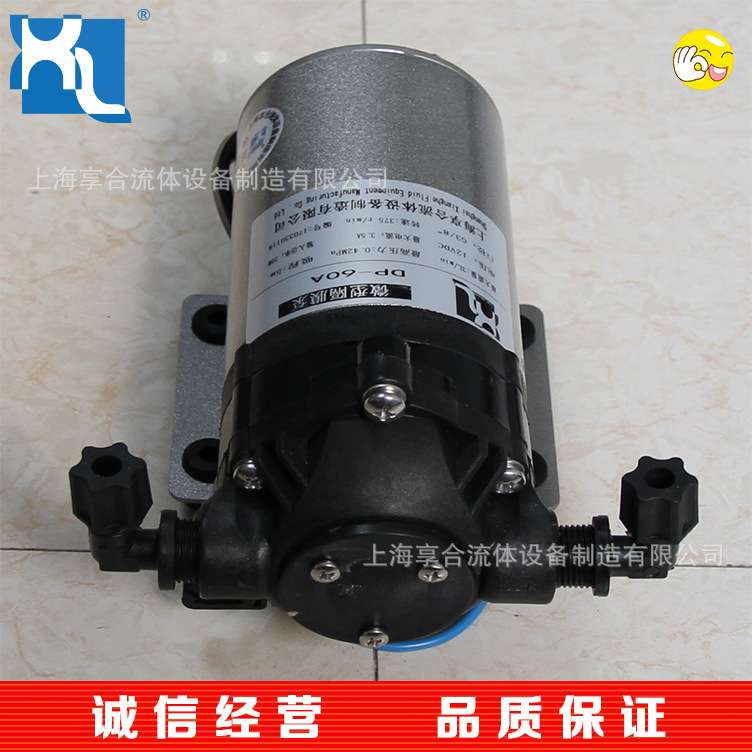 DP微型隔膜泵 纯水过滤机 DP-60A 山东水泵