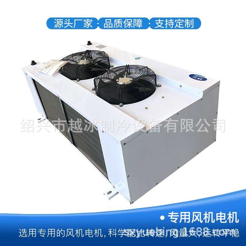 双出风冷却器吊顶式冷风机降温DS-DL/DD型冷库制冷设备厂家
