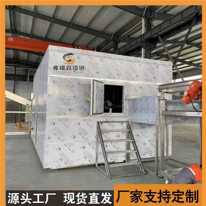 全自动鱼片隧道式速冻机汤圆速冻隧道海鲜速冻设备,清洗/食品/商业设备,果蔬加工设备,淘宝优惠券,粉丝福利购,淘宝优惠卷