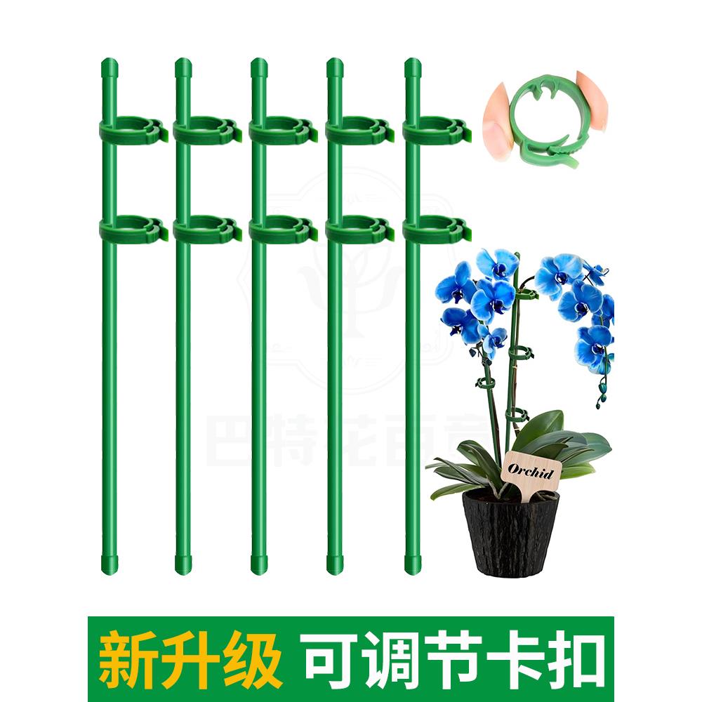 植物支撑杆花架朱顶红防倒伏支架园艺吊兰月季番茄架子绿植爬藤架
