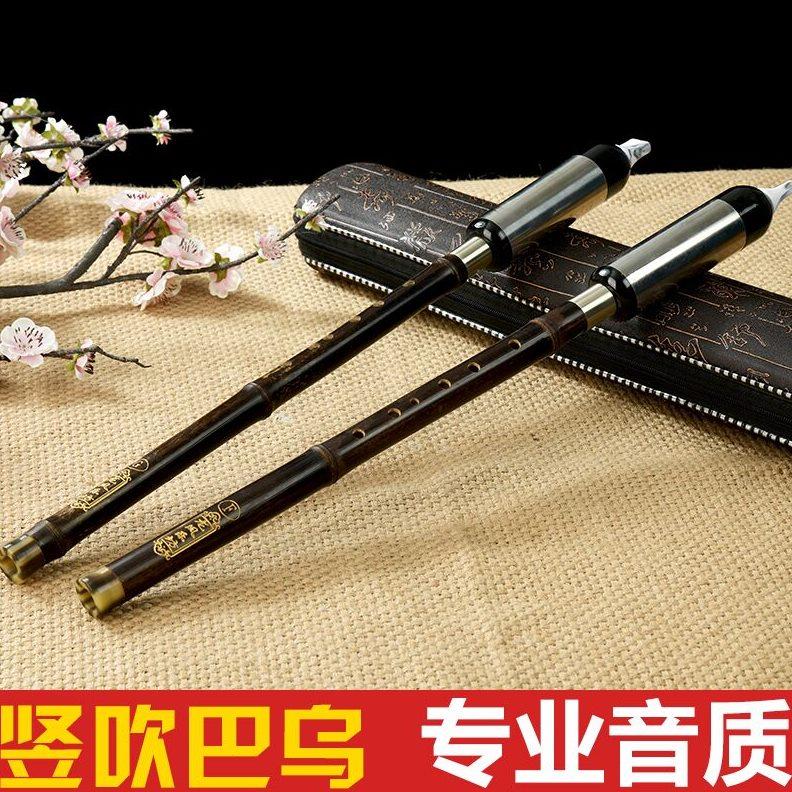 云南葫芦丝乐器初学免邮演奏型紫竹竖吹巴乌F/G调包邮送皮盒