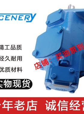 S3520VQ38 30 45 38 42A 12/10/8/17/14 1/86AABBCCDD22R SCENERY