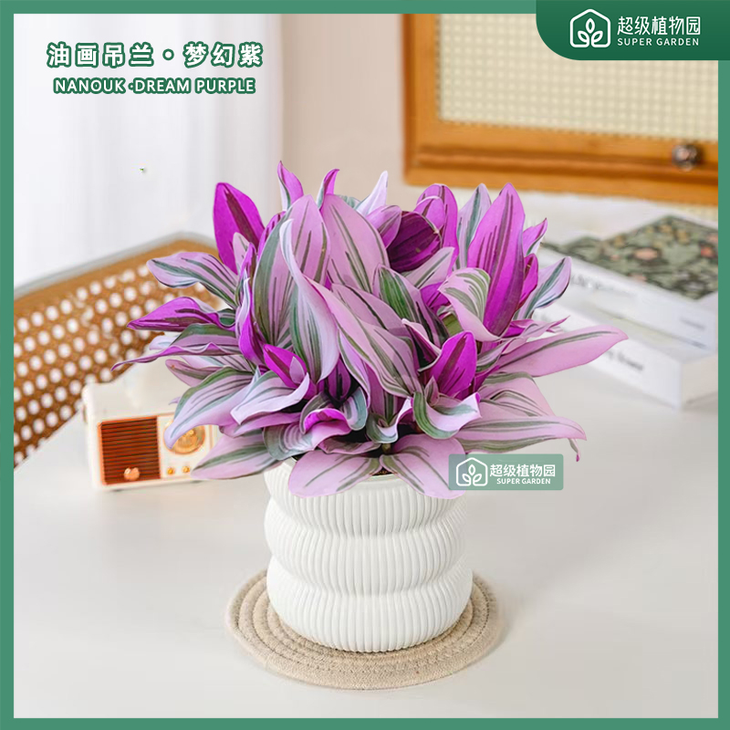 婚礼油画吊兰花卉盆栽客厅垂吊绿植客厅办公室桌面四季花卉盆景