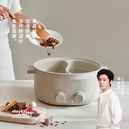 olayks立时6L双区双控鸳鸯电火锅