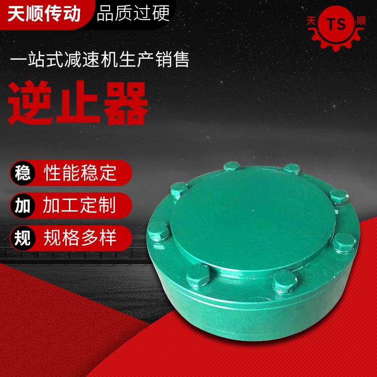 厂家供应逆止器支持减速器配件泰兴减速机
