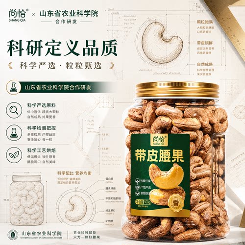 农科院特供新货原味紫皮腰果仁