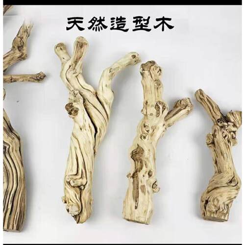造景木爬宠缸雨林缸攀爬盘龙木龙纹霸王藤木装饰摆件鱼缸造型装饰