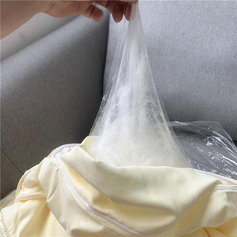 带质检2025年春夏100%蚕丝被子 净重3斤4轻薄舒适空调被 软糯亲肤