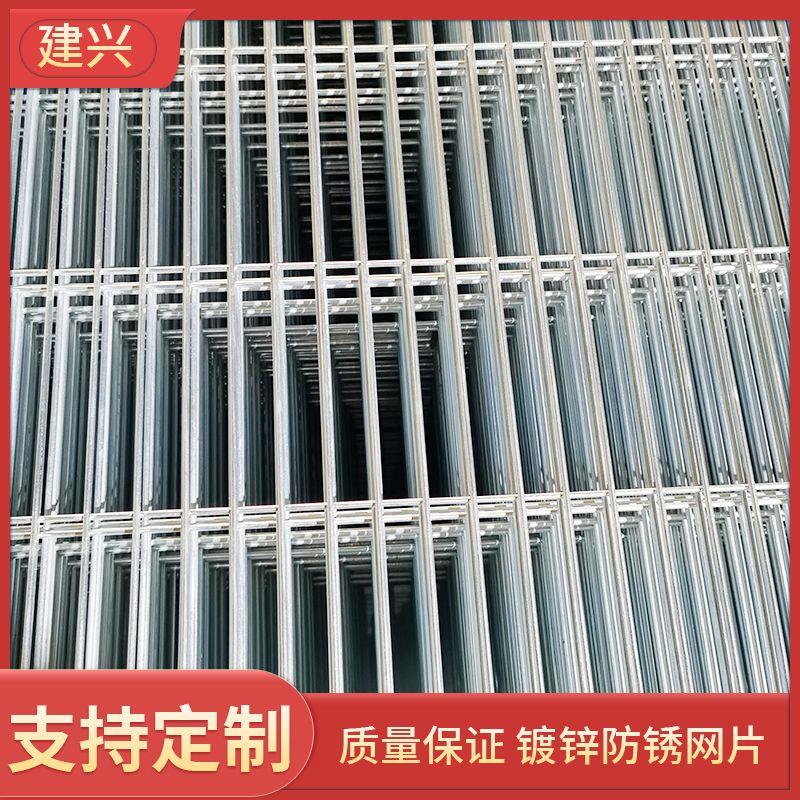 镀锌电焊网片养殖防护长孔格网片 鸽舍围网地网加密防护 铁丝网材