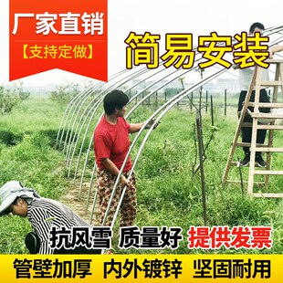 热销热镀锌温室大棚骨架钢管定制全套养殖种植家用水果蔬菜椭圆连