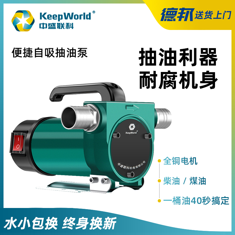 热销抽油泵12V24V伏小型抽油器直流加油机车载柴油机油电动全自动