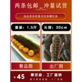 包邮 即食海参大海参野生海参大乌参水发厚肉螺纹参食品佛跳墙 1条