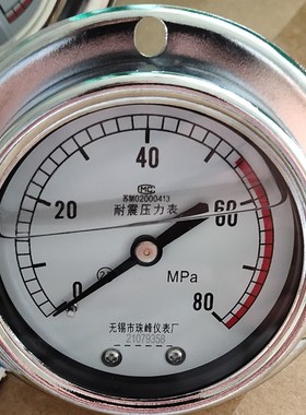 无锡市珠峰仪表厂ZFYB耐震压力表YN60I径向立式YN60III轴向安装