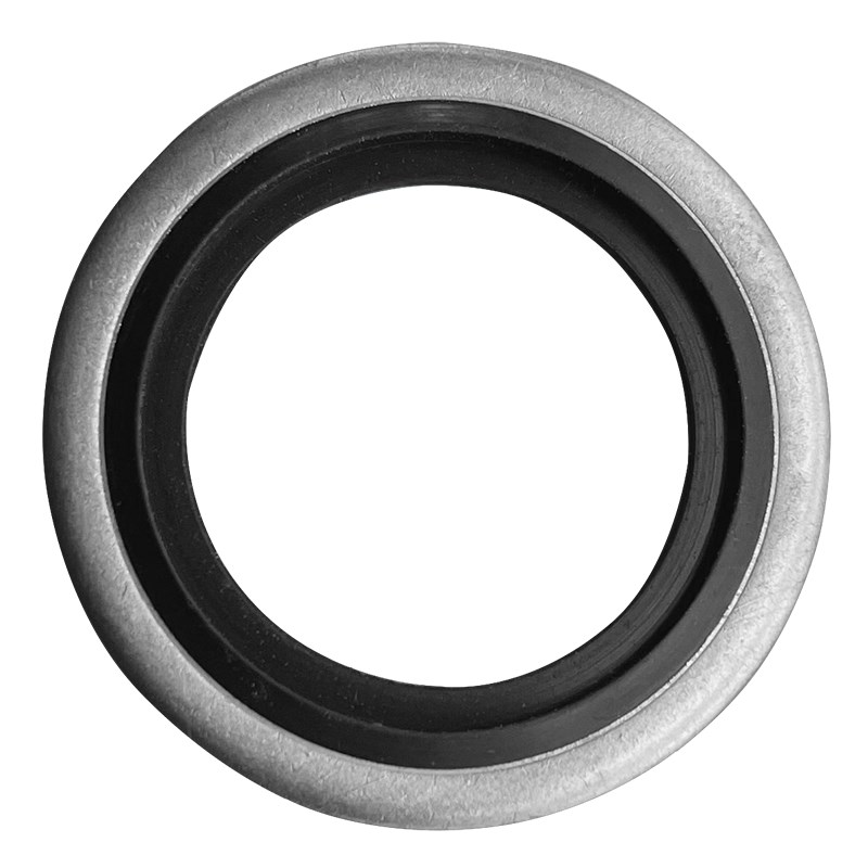 BS/A英制不锈钢组合垫304自定芯316氟橡胶FKM密封圈G1/4G3/8G1/2G