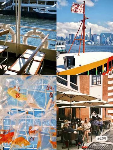 Dazz相机滤镜34款胶片电影感预设Dazz相机模拟预设