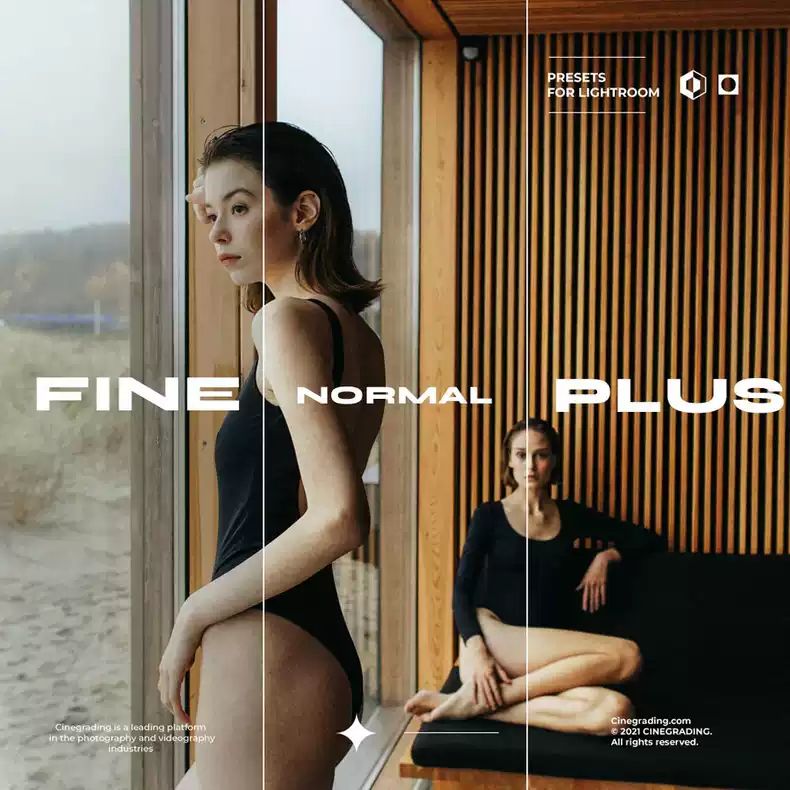 +CINE FILMX PRESETS & ACTION 电影胶片彩色负片预设人像风光