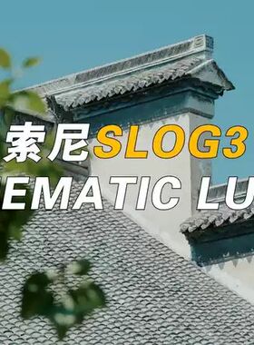 绝美电影仿色 | 索尼Slog3专用电影感LUT 25款电影风格仿色