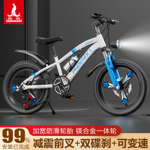 凤凰儿童自行车男孩女10到15岁6-8-12岁中大童单车学生变速山地车