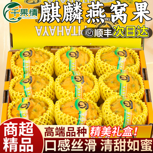 顺丰礼盒海南燕窝果麒麟果火龙果白心黄色新鲜水果整箱包邮应季大
