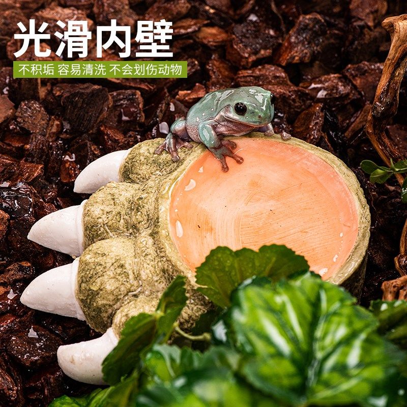 守宫蜘蛛寄居蟹角蛙水盆爬宠蜥蜴食盆泡澡盆爬虫饲养箱创意造景,宠物/宠物食品及用品,爬宠清洁及日用品,淘宝优惠券,粉丝福利购,淘宝优惠卷