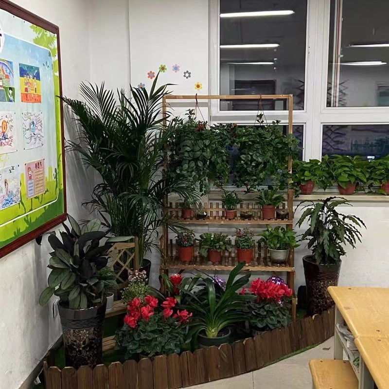防腐木花园木栅栏可弯曲木栅栏草坪菜地木围挡围栏防腐木篱笆装饰