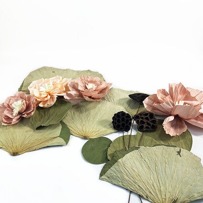 幼儿园环创创意装饰材料新中式植物荷花荷叶莲蓬区域区角文化墙贴