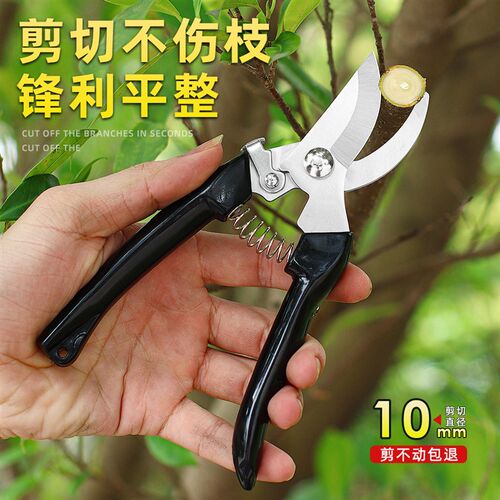 不锈钢家用园艺修枝剪修剪树枝果树盆景造型水果专用工具花艺剪刀