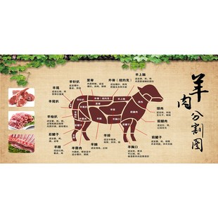 羊肉火锅海报贴纸羊肉馆广告分割图贴画清汤羊肉锅仔防水自粘贴纸