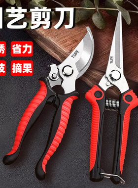 园艺剪刀修粗树枝盆栽绿植物花卉插养花艺园林专用不锈钢剪子工具