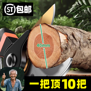修剪树枝剪刀园林园艺专用不锈钢高硬度锋利工业强力果树粗枝剪子