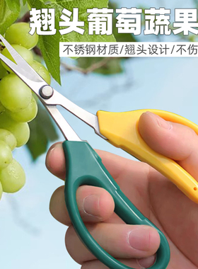 葡萄专用剪刀翘头剪刀剪嫩枝叶芽采摘稀果修花疏果剪修枝不锈钢剪