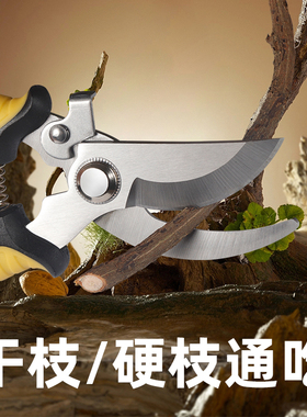 修枝剪园艺剪刀果树剪刀花艺修花修剪园林花卉枝剪刀粗大果枝花剪