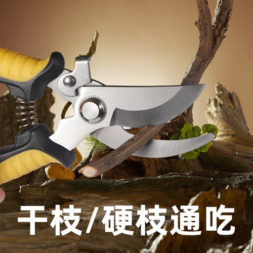 修枝剪园艺剪刀果树剪刀花艺修花修剪园林花卉枝剪刀粗大果枝花剪