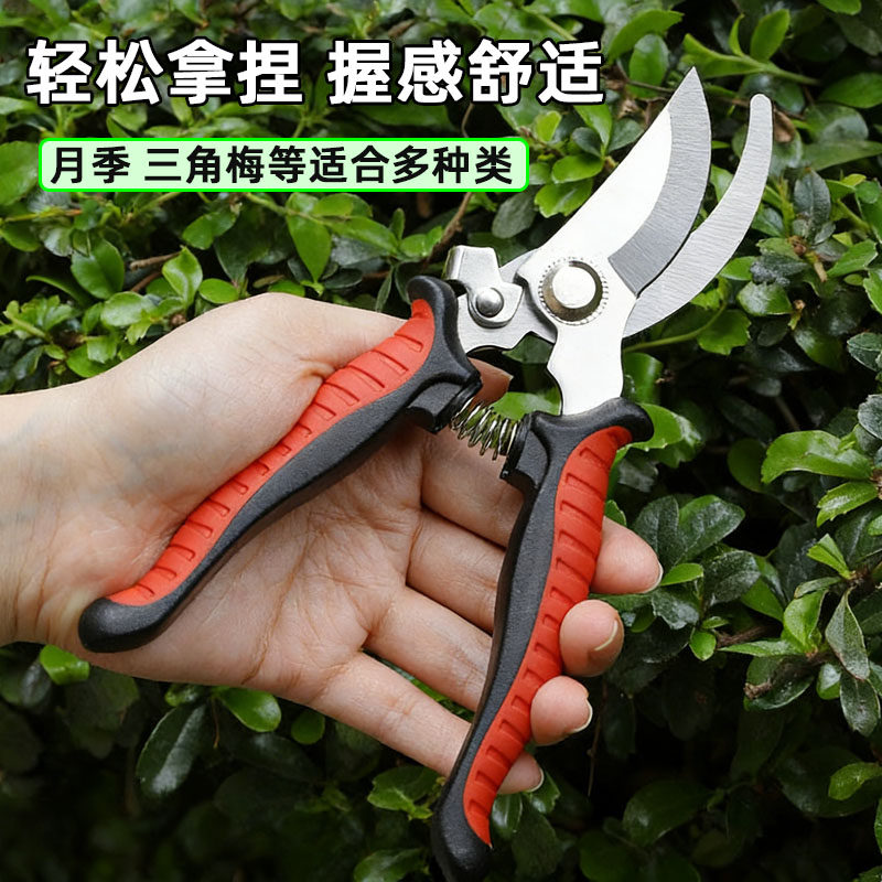 修剪树枝剪刀植物花卉盆栽种花插花葡萄水果专用不锈钢园艺粗枝剪
