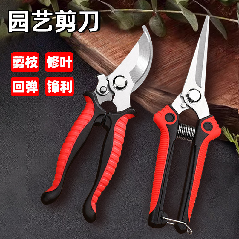 园艺剪刀粗枝剪园林修枝剪不锈钢花剪家用剪树枝葡萄摘果专用工具