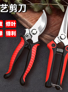 园艺剪刀粗枝剪园林修枝剪不锈钢花剪家用剪树枝葡萄摘果专用工具
