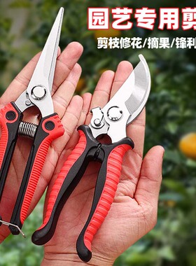 家用不锈钢园艺剪刀修粗树枝插养花卉绿植物盆栽专用园林剪子工具