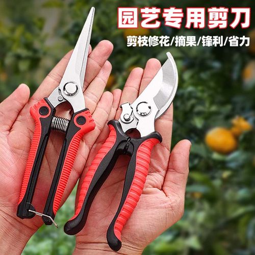 修剪花枝摘果专用不锈钢强力剪刀