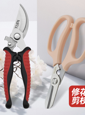 修剪树枝剪刀植物花卉盆栽种花插花葡萄水果专用不锈钢园艺粗枝剪