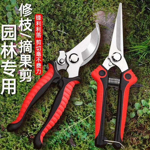 精钢SK5园艺修枝剪锋利耐用
