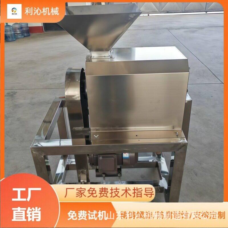 大型榴莲泥去核打浆机车厘子枇杷道打浆机商用水果去皮打浆