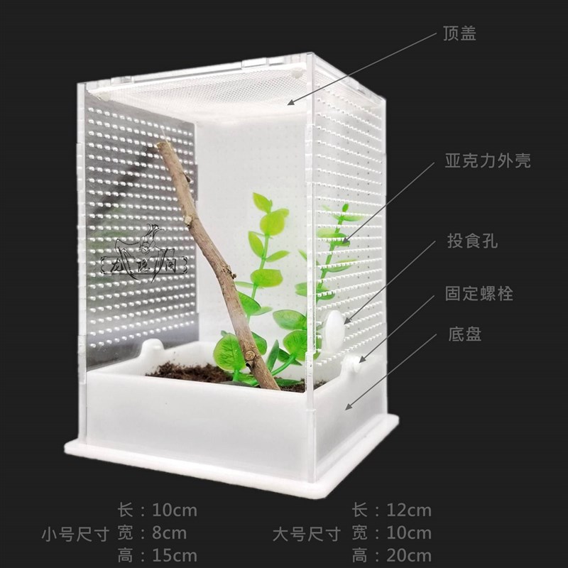 螳螂饲养盒功能版活体昆虫爬虫鸣虫跳蛛宠物饲养箱箱网