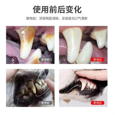 新品狗狗牙结石去除剂猫狗去口臭牙垢牙结石口炎宠物口腔清洁喷剂